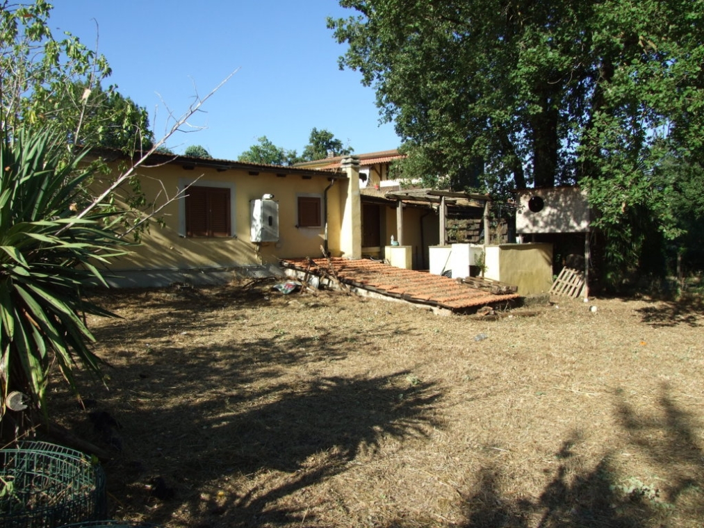DSCF5236 (FILEminimizer).JPG